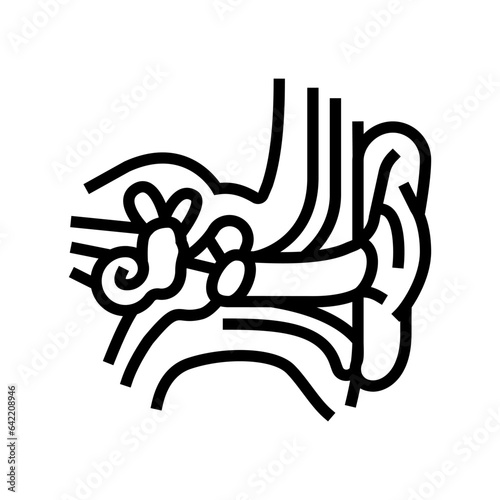 ear anatomy audiologist doctor line icon vector. ear anatomy audiologist doctor sign. isolated contour symbol black illustration