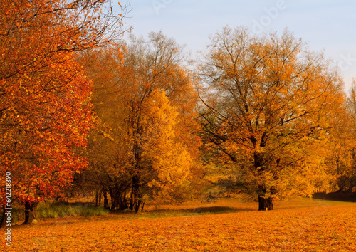Autumn