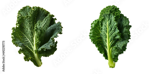 Kale vegetable in transparent background