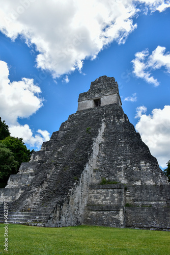The Great Jaguar Tikal