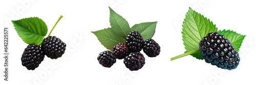 Blackberry isolated on transparent background with leaf photo