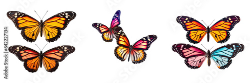 Three vibrant monarch butterflies standing out on a transparent background