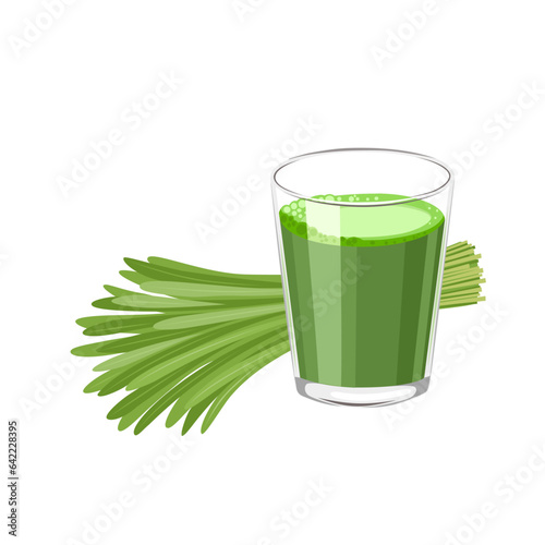 Vector illustration, a glass of wheatgrass juice, with a bunch of fresh wheatgrass, scientific name Triticum aestivum, isolated on white background.