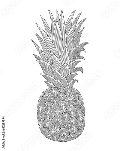 pineapple fruit, Vintage engraving drawing vector illustration