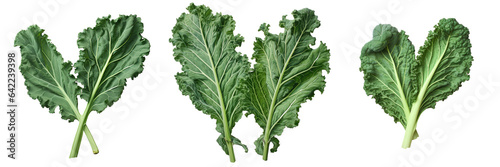 Two crossed kale leaves transparent background