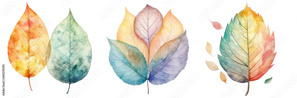 Ash colored watercolor leaf transparent background