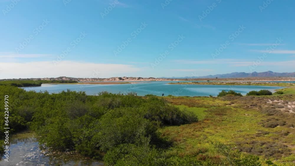 Zoom in with drone of people cleaning a mangrove on the sea coast of california Zoom in with drone of people cleaning a mangrove on the sea coast of california