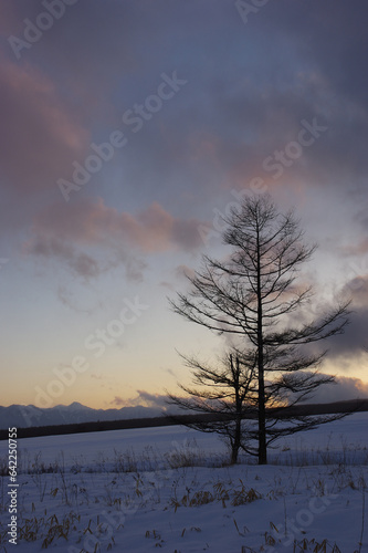 雪原から望む厳冬の南アルプス夕景