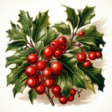 Holly berries and leaves on a plain white background. Generative AI. 