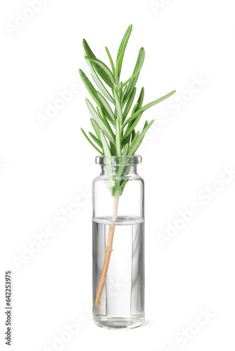 One bottle with essential oil and rosemary isolated on white