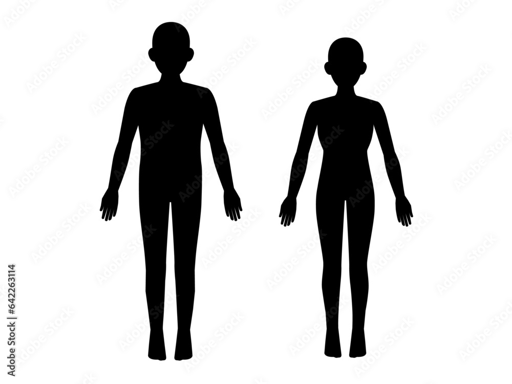 シンプルな男女の人体モデル シンプルな男女の人体モデル