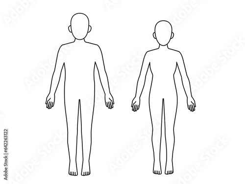 シンプルな男女の人体モデル