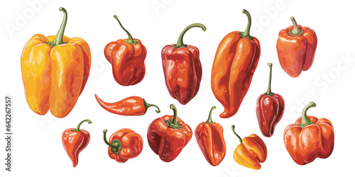 watercolor habanero clipart for graphic resources