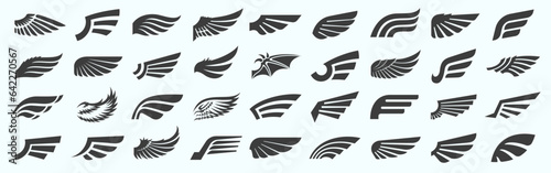 Wing signs heraldry design elements set.