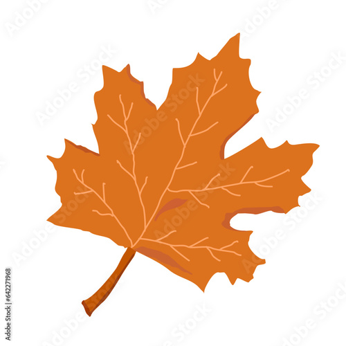 A maple leaf vector illustration flat design isolated