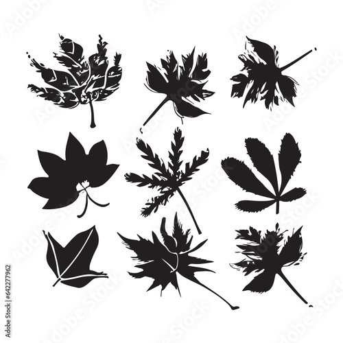 Fall Leaves Vector Art, Icons, and Graphics 2023