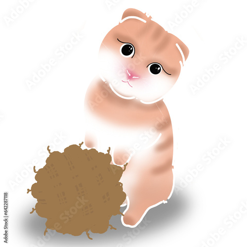 perky cat