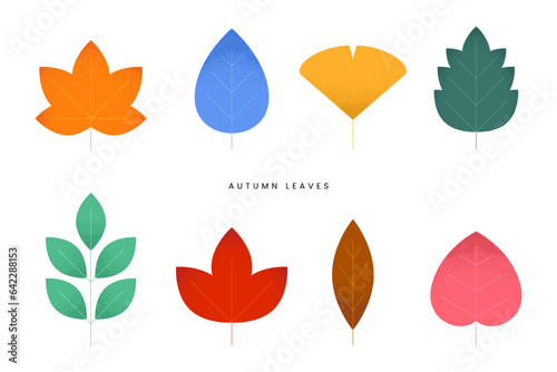 Various fallen leaves set, Colorful autumn concept. Maple tree leaf. Fall foliage decoration, Seasonal holiday thanksgiving greeting card. Trendy style design Simple flat vector isolated illustration.