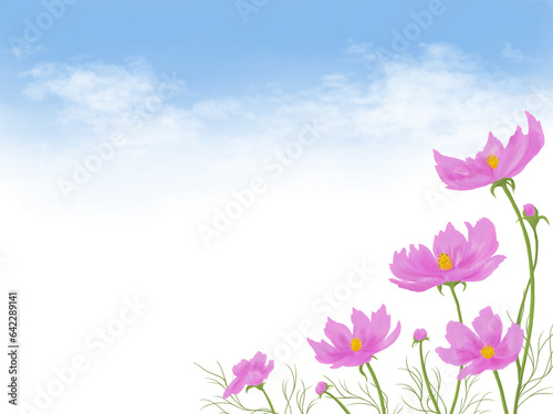 青空を背景に咲くリアルなピンク色のコスモスの水彩背景イラスト
