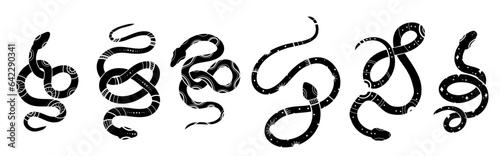 Vector mystery set of black silhouettes of snakes in various poses. Collection of celestial monochrome cobras and boas