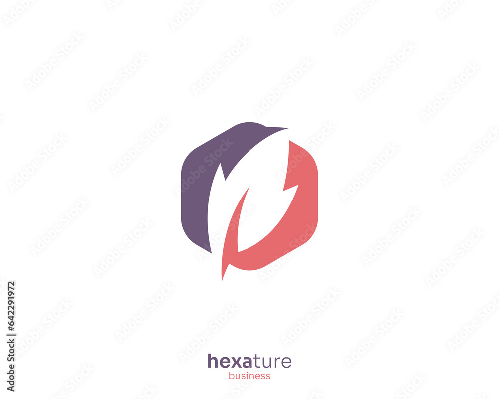 Fototapeta premium Simple colorful hexagon leaf logo