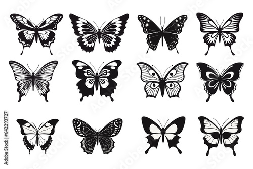 silhouettes of butterflies, animal nature wildlife vector illustration background © SachiDesigns