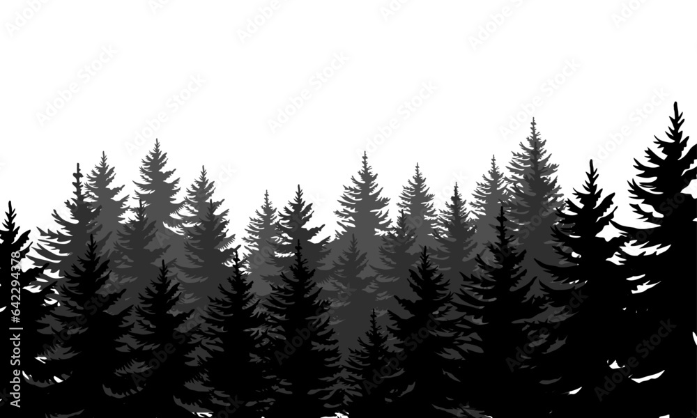 Vector pine trees silhouettes evergreen coniferous forest silhouette nature spruce tree park view vector