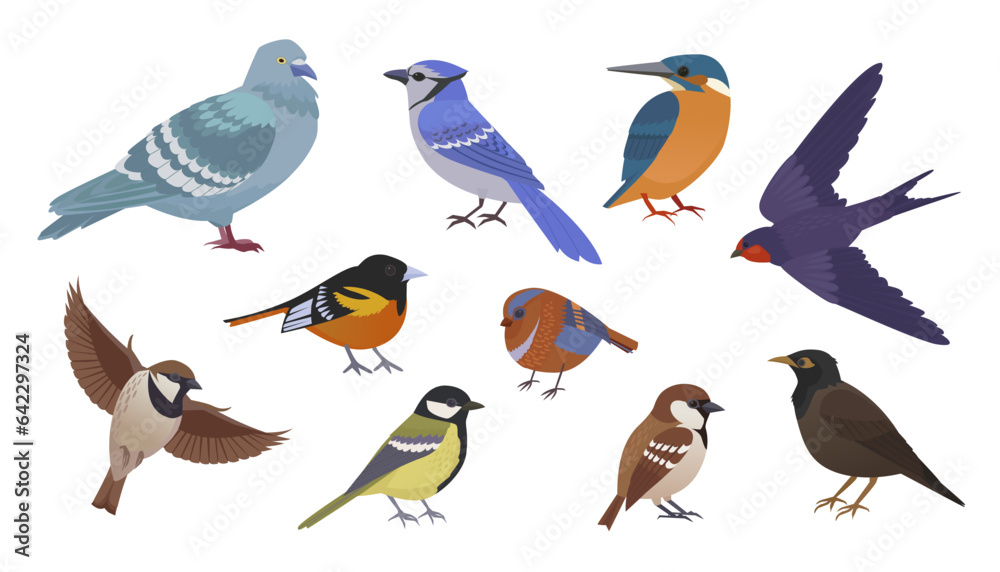 birds in different poses. city birds in different poses set, birds flying and standing, bullfinch, tit, sparrow, pegeon, crow. cartoon vector flat birds set. birds in different poses. city birds in different poses set, birds flying and standing, bullfinch, tit, sparrow, pegeon, crow. cartoon vector flat birds set.