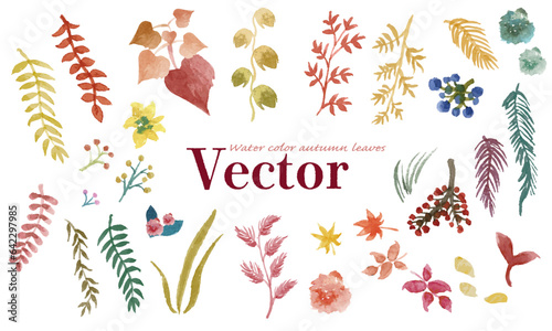 Watercolor hand-drawn vector illustration of a fashionable autumn plant.

