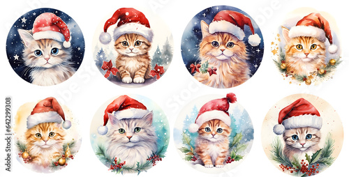 Set of Cute Christmas Cat with christmas hat on transparent background, generated ai
