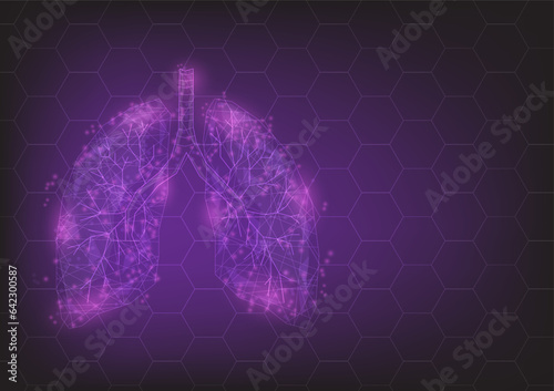 low polygon transparent part of human lungs