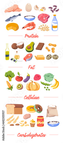 Food by type, proteins and fat, cellulose vector
