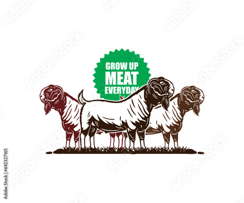 GREAT BOER FULLBLOOD GOAT LOGO  silhouette of big and strong goat standing vector illustrations