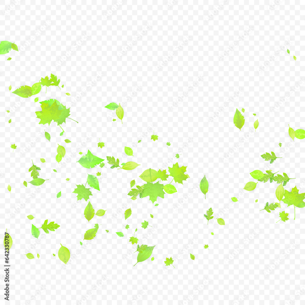 Leaves Falling Spring Flying Foliage Green Leaf Leaves Falling Spring Flying Foliage Green Leaf