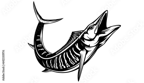 Vector Illustration of a wahoo. Acanthocybium solandri. A scombrid fish jumping up viewed from the side set on isolated white background done in retro style.