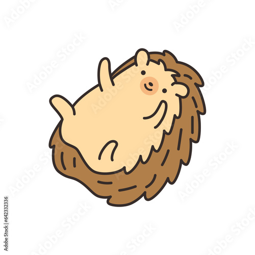 Cute hedgehog. Vector illustration in doodle style.