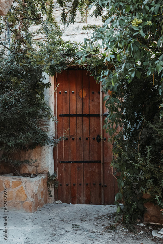 old wooden door in stone wall surrounded by greenery