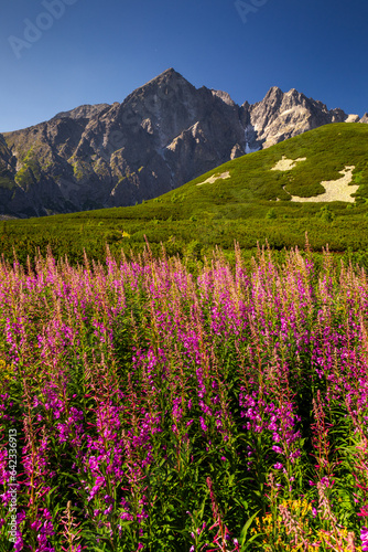 Warm and colorful summer in the High Tatras - sharp peaks, lakes and beautiful views.