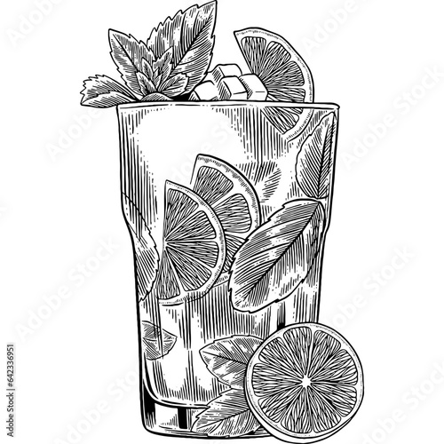 Hand drawn Mojito Cocktail Drink