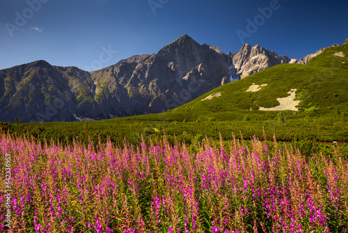 Warm and colorful summer in the High Tatras - sharp peaks  lakes and beautiful views.
