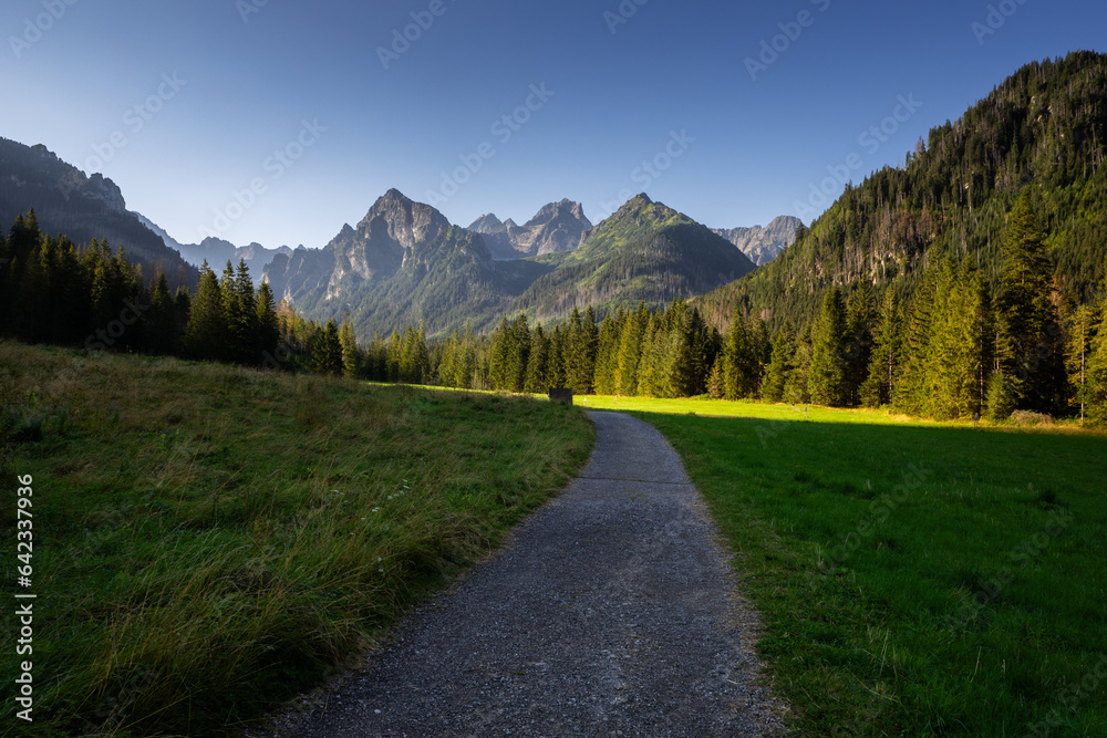 The Biała Woda Valley in the High Tatras captured during a summer morning.