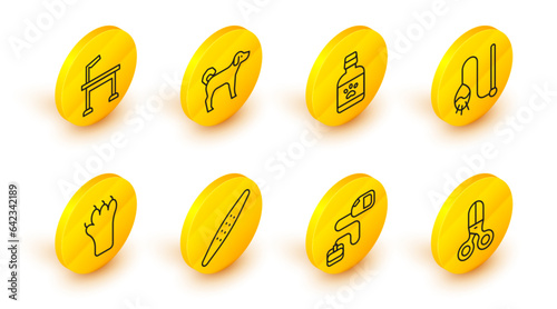 Set line Scissors hairdresser, Retractable cord leash, Nail file pet, Paw print, Pet cat toy, Dog medicine bottle, and grooming icon. Vector