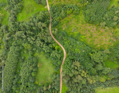 View from Above of a winding country road between the green forest.