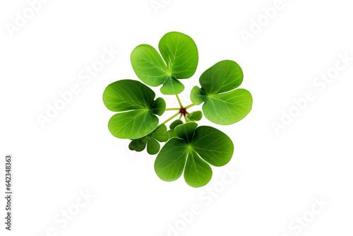 The Lucky Four Leaf Clovers isolated on a transparent background. Generative Ai