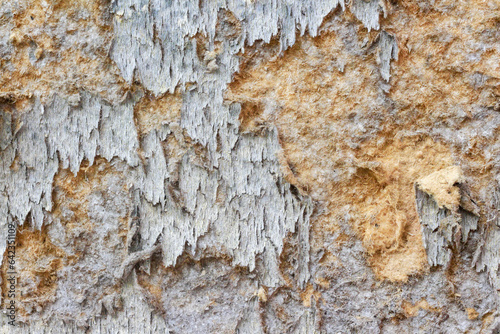  plywood background is decaying from