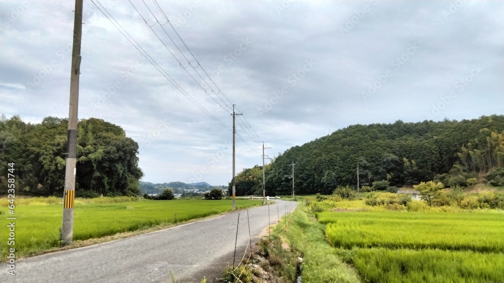 The countryside scenery, the area around Kitora Tumulus, Kitora Tumulus is famous for its walls depicting the four gods of Suzaku, Seiryu, Byakko, and Genbu. Japan, Nara