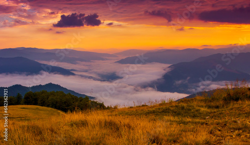 scenic Carpathian summer view, amazing morning foggy scenery,, Ukraine, Europe