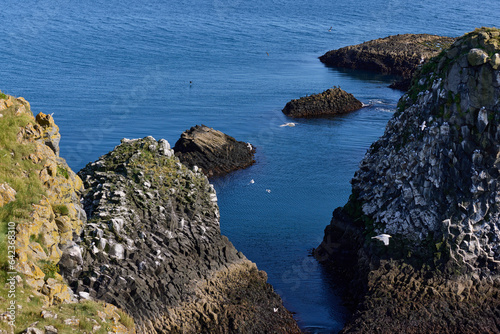 Iceland. Arnarstapi - picturesque volcanic rock cliffs on the Snaefellsnes peninsula. Habitat of seagulls.