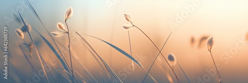 Beautiful abstract background banner with a close up of dried wild grass in the autumn fields at dawn. generative AI