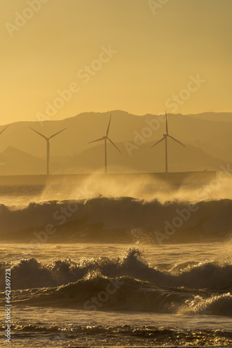 Surf sunset golden hour